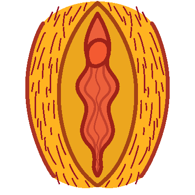 a stylized drawing of a hairy vulva in yellow.